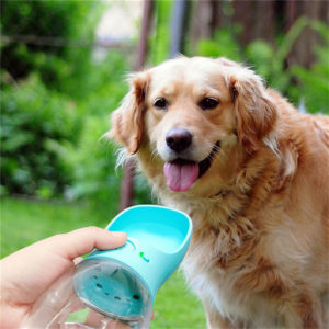 Tragbare Haustier-Wasserflasche - Ideal für Gassi und lange Spaziergänge